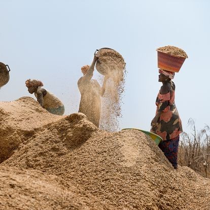 Adapting to Change: The Gambia's Resilience Project in the Face of COVID-19